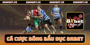 Cá cược bóng bầu dục 8kbet