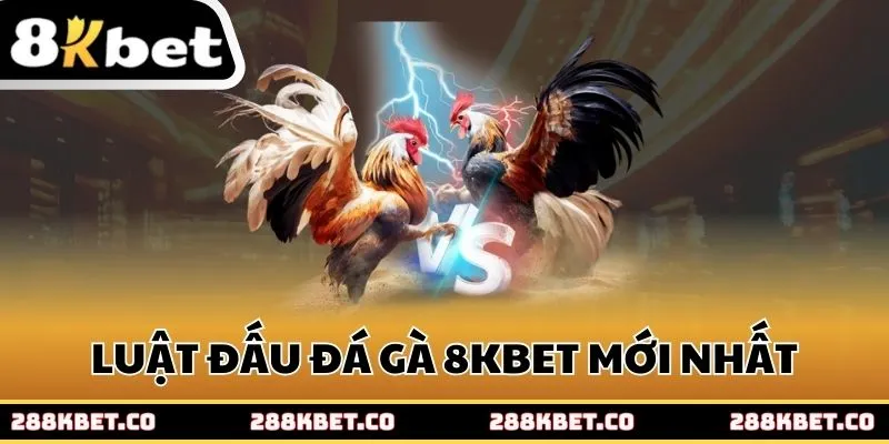 Luật đấu đá gà 8kbet mới nhất