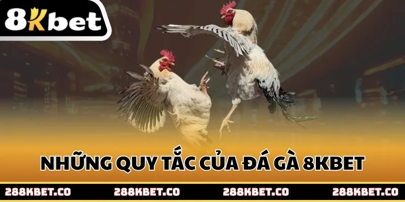 Những quy tắc của đá gà 8kbet