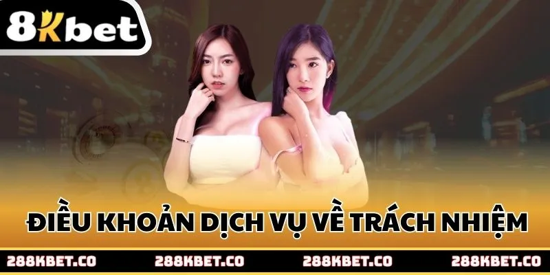 Những điều khoản dịch vụ về trách nhiệm