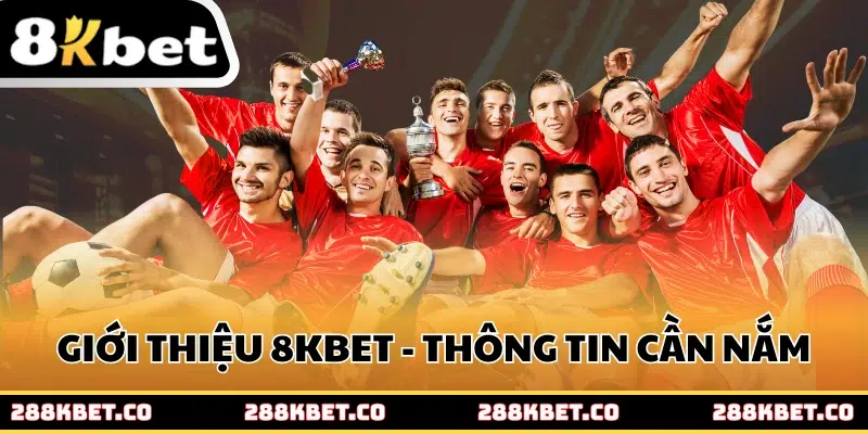 Giới thiệu 8kbet cùng những thông tin cần nắm