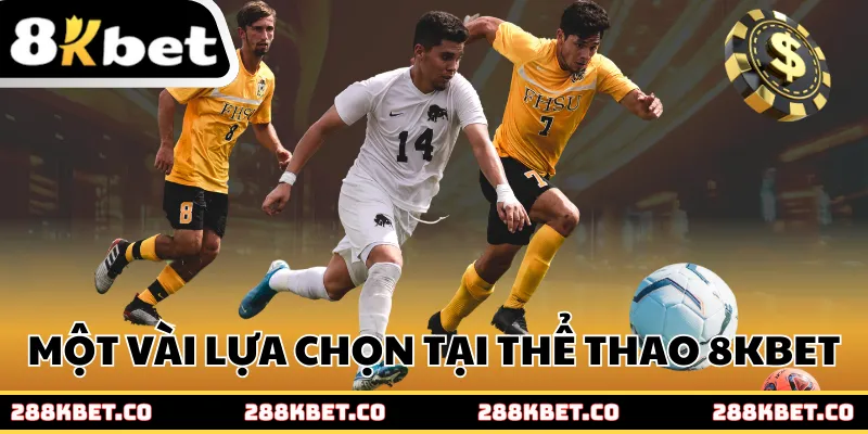Một vài lựa chọn cá cược tại thể thao 8kbet