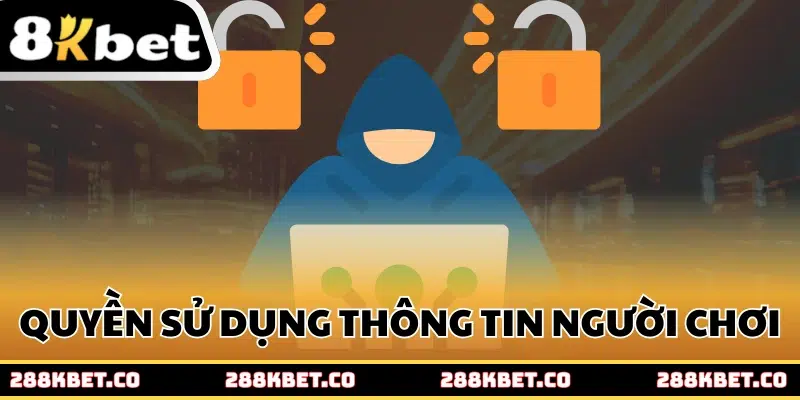 Quyền được sử dụng thông tin người chơi