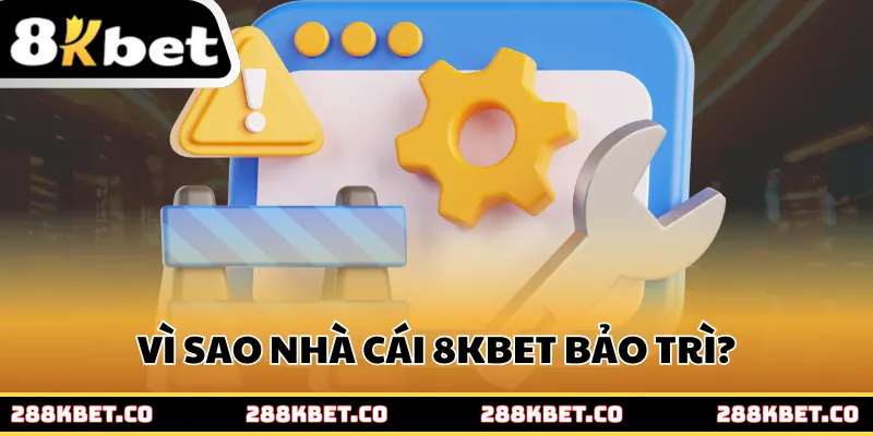 Vì sao nhà cái 8kbet bảo trì?