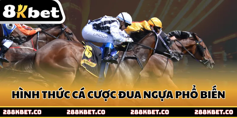 Hình thức cá cược đua ngựa 8kbet phổ biến