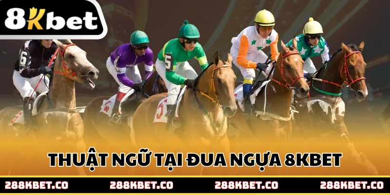 Thuật ngữ thường dùng tại đua ngựa 8kbet