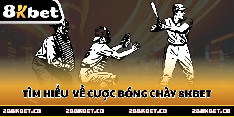 Tìm hiểu chi tiết về cược bóng chày 8kbet